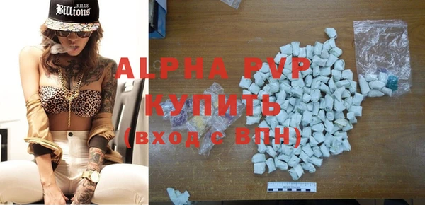 спайс Арсеньев